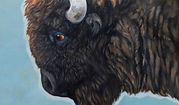 bison-1400