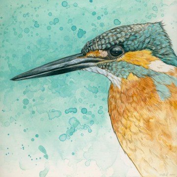 kingfisher-1500
