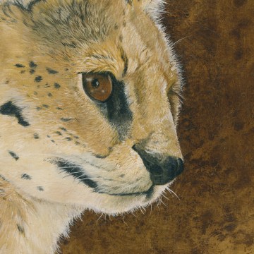 serval-detail01