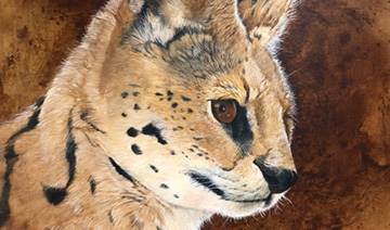 serval-study_1200x1200