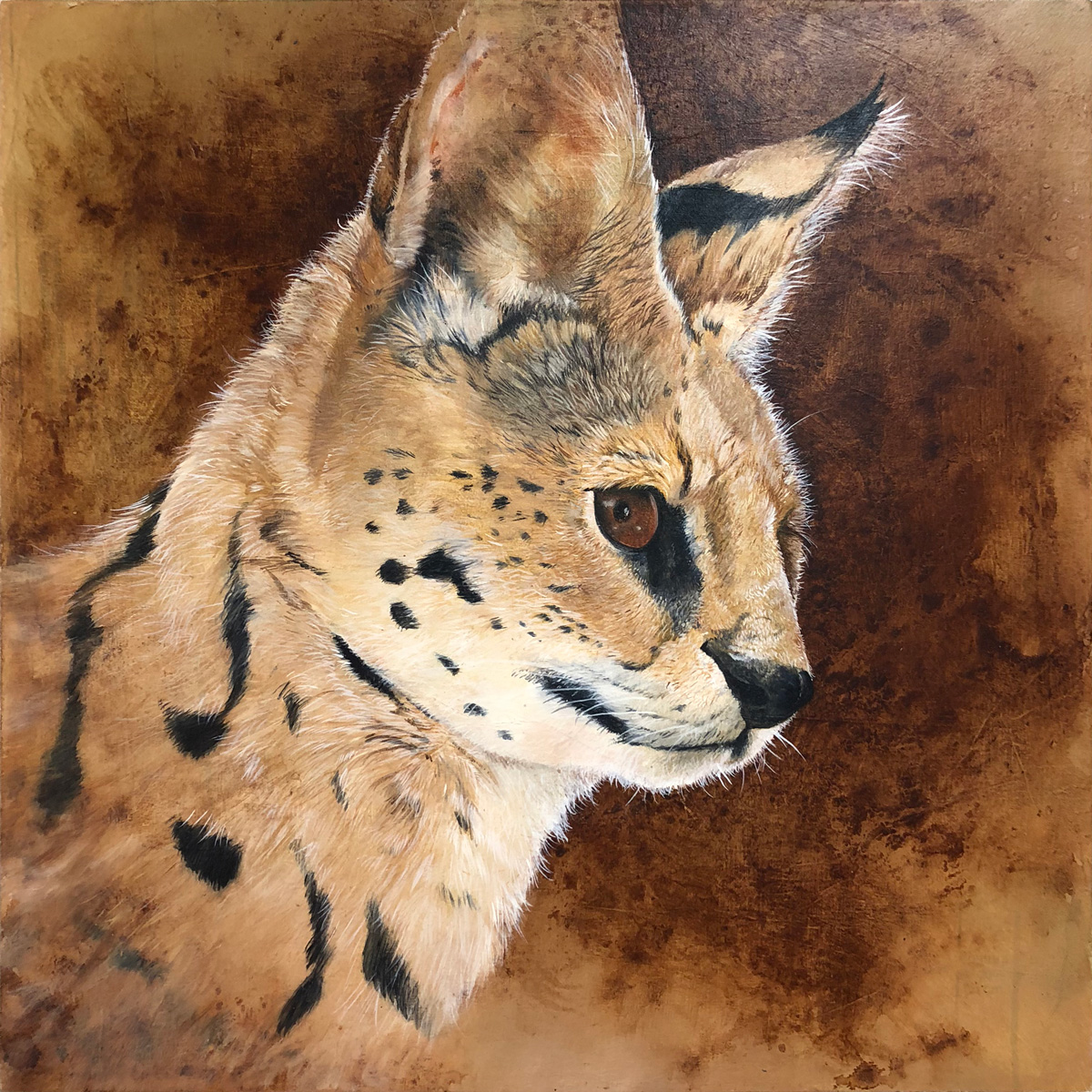 serval-study_1200x1200.jpg