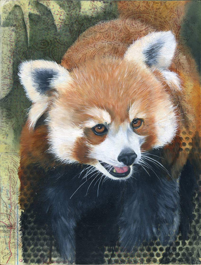 red-panda.jpg